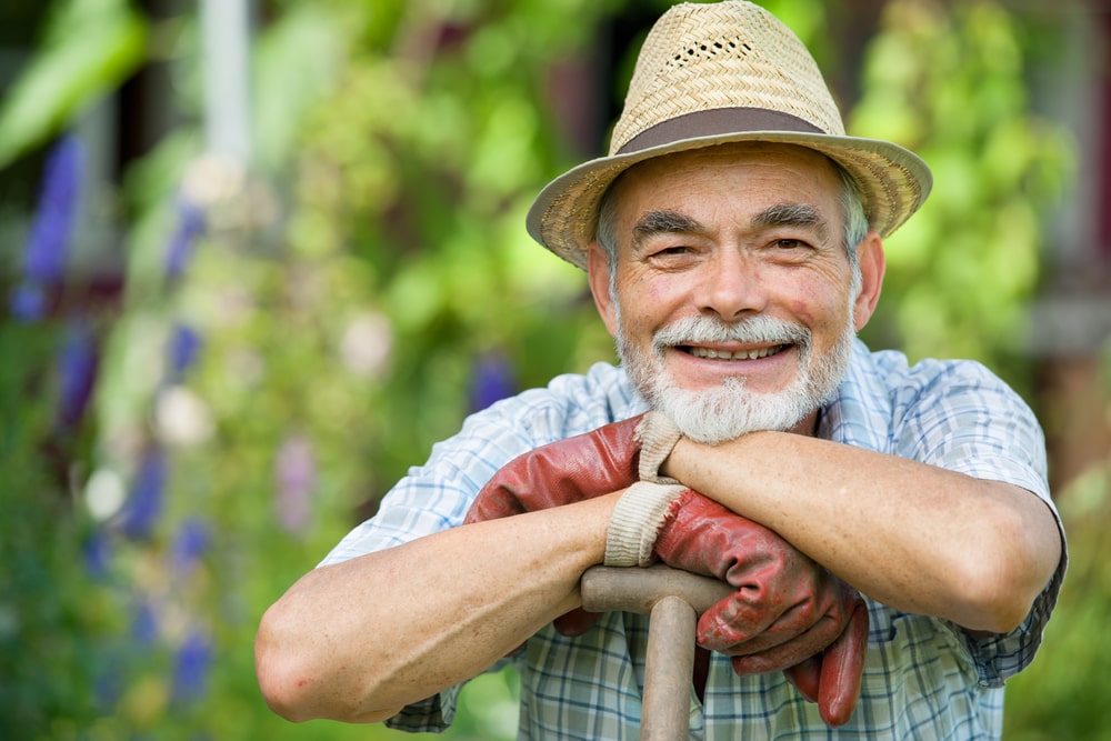 gardening 