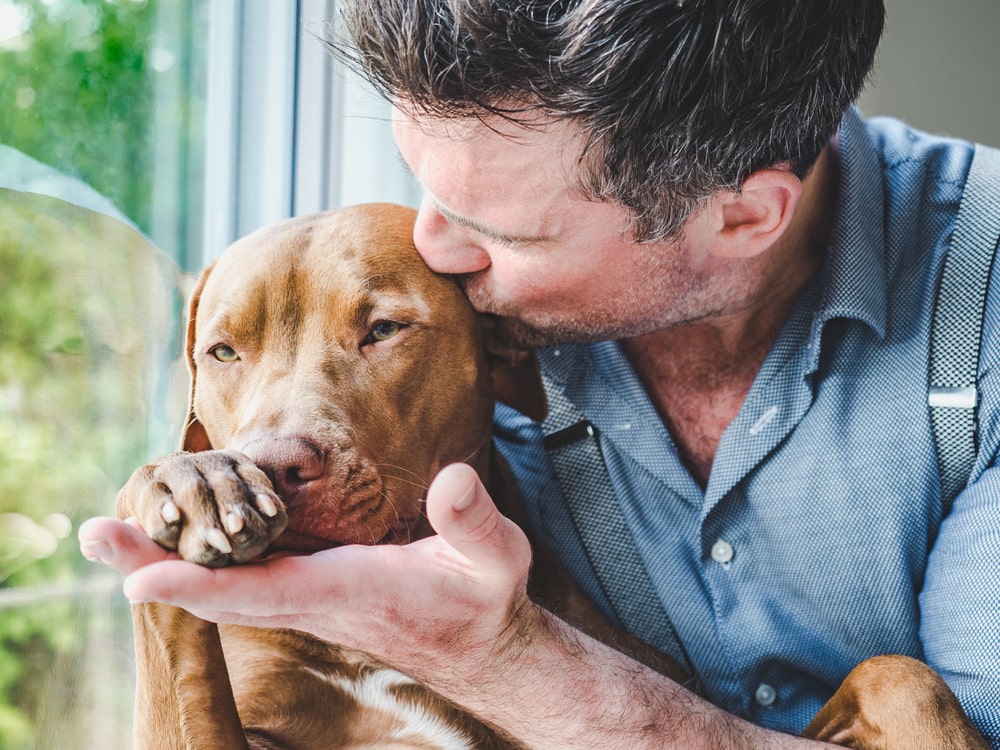 seniors adopt puppies