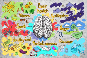 healthy brain