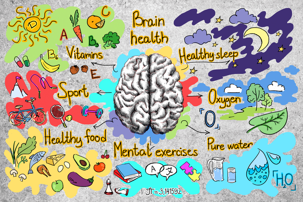 healthy brain