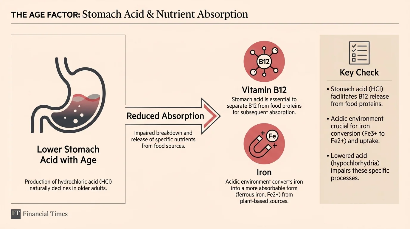 A data visualization showing how aging affects stomach acid and the absorption of B12 and iron.