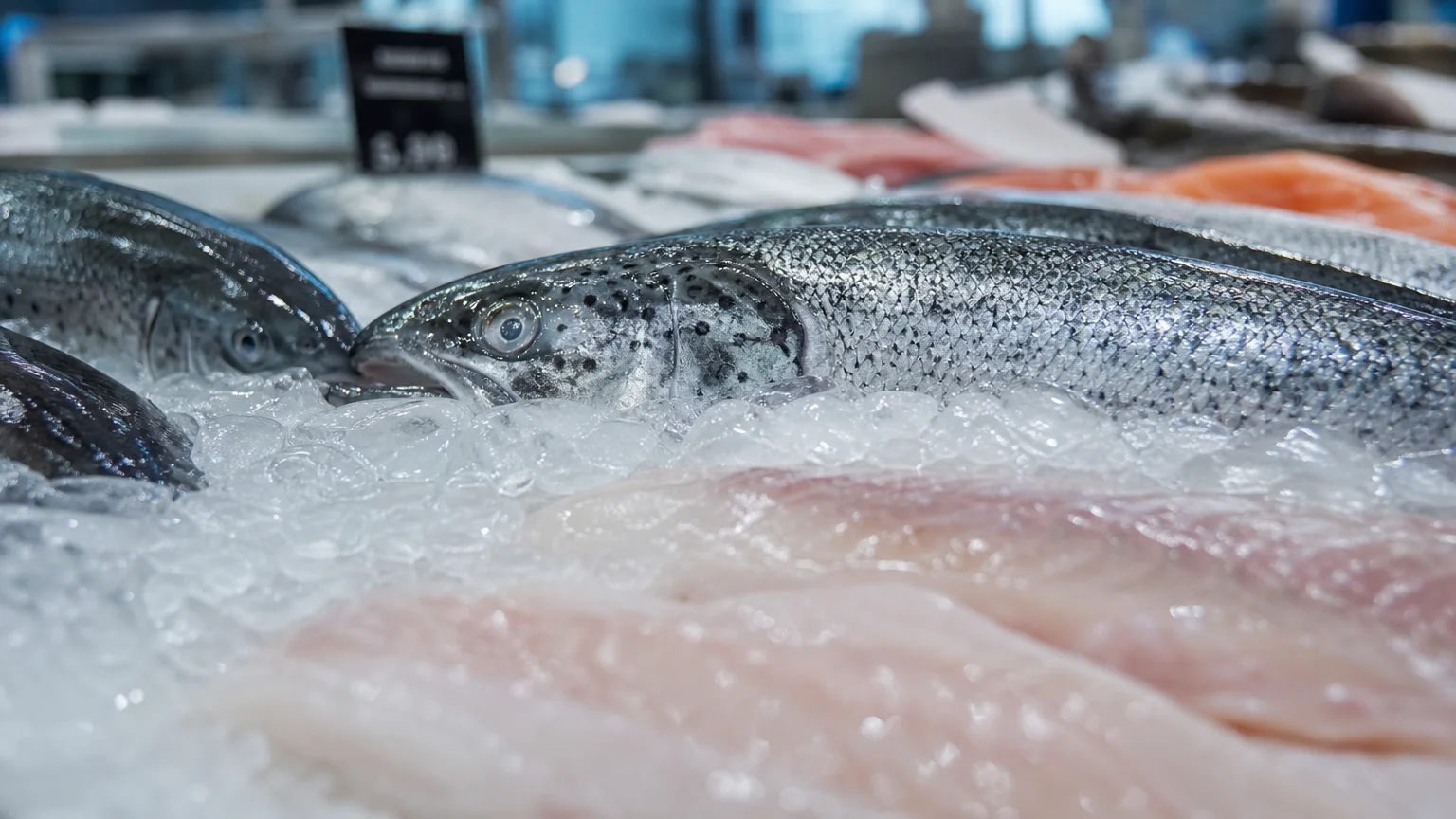A close-up photograph of whole fish and fillets resting on a bed of melting crushed ice at a supermarket counter.