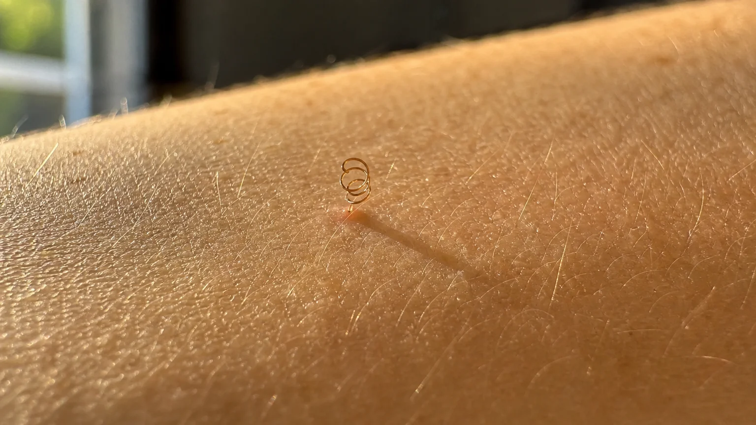 Macro photograph of a single body hair curled in a corkscrew shape on a person's arm under warm golden light.